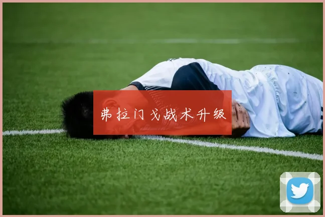 弗拉门戈战术升级 - 博雅棋牌互动