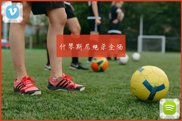 什琴斯尼绝杀全场 - 博雅棋牌互动