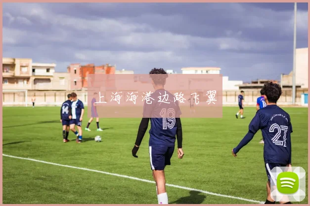 上海海港边路飞翼 - 博雅棋牌互动