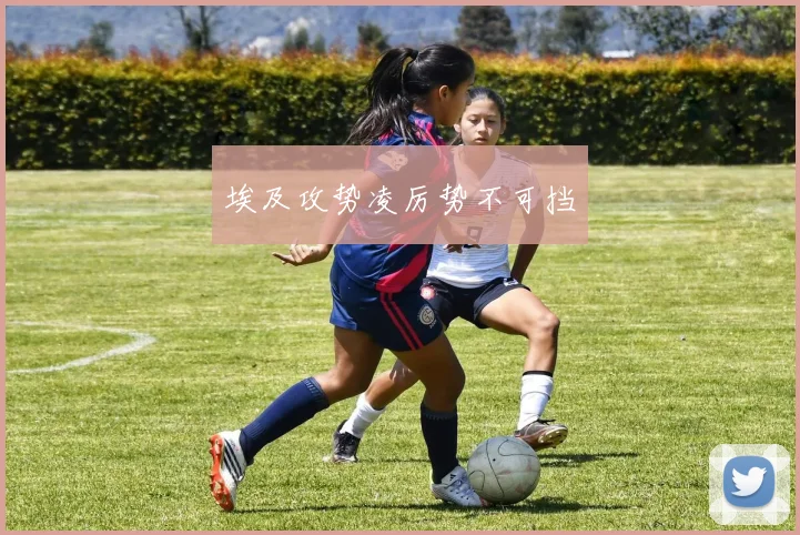 埃及攻势凌厉势不可挡 - 博雅棋牌互动