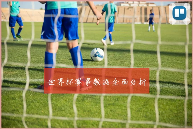 世界杯赛事数据全面分析 - 博雅棋牌互动